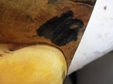 Boletus pallidoroseus image