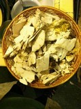 Calvatia pachyderma image