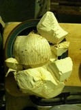 Calvatia pachyderma image