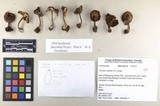 Inocybe napipes image