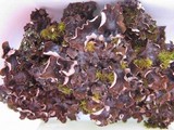 Peltigera rufescens image