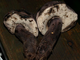 Tylopilus alboater image