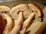 Boletus viscidocorrugis image