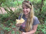 Cantharellus formosus image