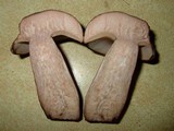 Tylopilus alboater image