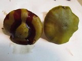 Cortinarius austrovenetus image