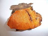 Auriporia aurulenta image