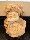 Fomitopsis officinalis image