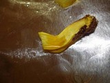 Buchwaldoboletus pseudolignicola image