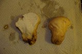 Calvatia craniiformis image
