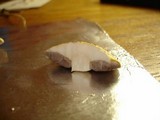 Stropharia coronilla image