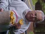Cantharellus formosus image