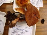 Cortinarius armillatus image