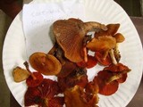 Cortinarius semisanguineus image