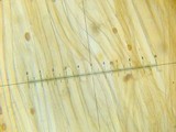 Conocybe siliginea image