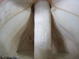 Chlorophyllum olivieri image