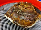 Ganoderma polychromum image