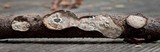 Datronia stereoides image