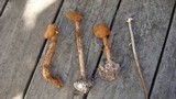 Battarrea phalloides image