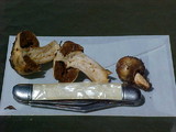 Cortinarius pinguis image