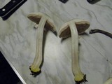 Agaricus moelleri image