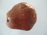 Cortinarius praestans image