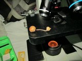 Psilocybe hoogshagenii var. hoogshagenii image