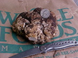 Tuber gibbosum image