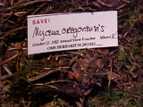Mycena oregonensis image