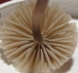 Mycena capillaripes image