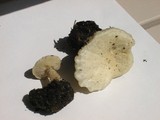 Melanoleuca verrucipes image