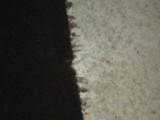 Chroogomphus vinicolor image