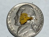 Mucronella flava image