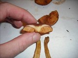Gymnopilus luteofolius image