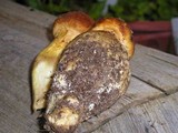 Gymnopilus ventricosus image