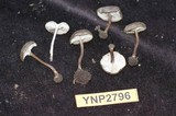 Myxomphalia maura image