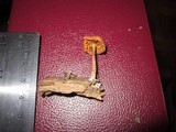 Gymnopilus sapineus image