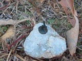 Arrhenia chlorocyanea image