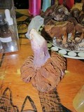 Cortinarius vanduzerensis image