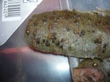 Prosthecium auctum image