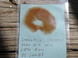Gymnopilus luteus image