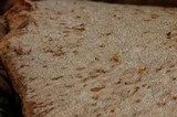 Hypomyces lateritius image