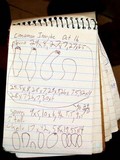 Inocybe fraudans image