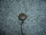 Entoloma griseocyaneum image