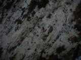 Hypochnicium geogenium image