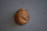 Rhizopogon occidentalis image