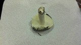 Russula cremoricolor image