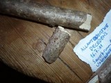 Allantoporthe decedens image