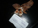 Ceriporia mellita image