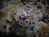 Chondrostereum purpureum image